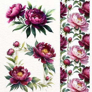 18+3 Burgundy Peonies, Watercolor Floral Frames & Seamless Patterns, Peony Bouquet, PNG Clipart, Digital Paper, wedding clipart