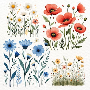 May include: Watercolor illustration of four floral arrangements. Daisies with yellow centers, red poppies, blue flowers, and a mix of yellow and orange flowers are depicted. The artwork features detailed botanical elements and a soft, artistic style.