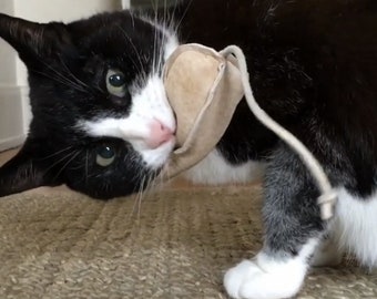 Single catnip leather mouse cat toy. Repurposed suede filled with organic catnip with a leather lace tail. Durable!