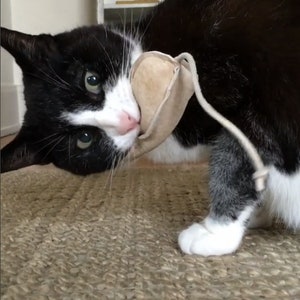 Single catnip leather mouse cat toy. Repurposed suede filled with organic catnip with a leather lace tail. Durable!