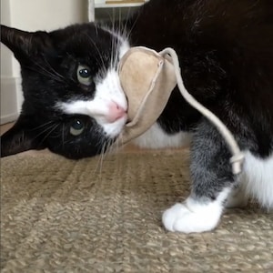 Cellophane cat toy on sale
