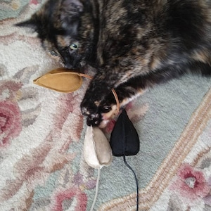 Puede incluir: Un gato calico jugando con tres ratones de juguete. Los ratones est&aacute;n hechos de fieltro y tienen diferentes colores: marr&oacute;n, blanco y negro.