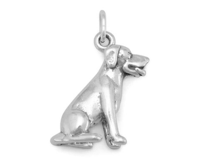 Labrador Charm Bracelet Charm Necklace Pendant Stamped .925 Etsy