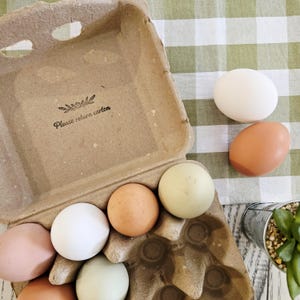 Pu&ograve; includere: Un cartone per uova aperto con uova di vari colori. Le uova includono tonalit&agrave; bianche, marroni e verdi. Il cartone ha il testo "Please return carton". Lo sfondo &egrave; un motivo a scacchi verdi e bianchi.