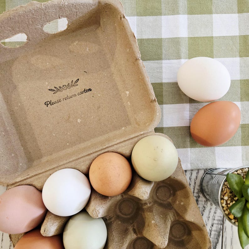 Pu&ograve; includere: Un cartone per uova aperto con uova di vari colori. Le uova includono tonalit&agrave; bianche, marroni e verdi. Il cartone ha il testo "Please return carton". Lo sfondo &egrave; un motivo a scacchi verdi e bianchi.