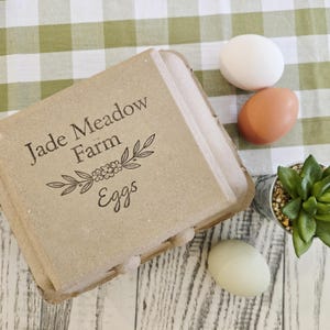 Pu&ograve; includere: Un cartone di uova di Jade Meadow Farm &egrave; appoggiato su una superficie di legno accanto a tre uova di diversi colori: bianco, marrone e verde. &Egrave; visibile anche una piccola pianta grassa in vaso.
