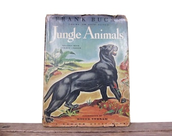 Vintage Childrens Book - 'Jungle Animals - 1945 by Frank Buck, Illustrated by Roger Vernam - Wildlife Animal Illustrations