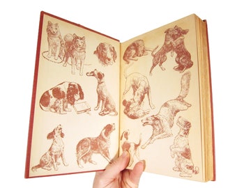 Couverture rigide vintage « Famous Dog Stories » - Illustré par Diana Thorne - Edité par Page Cooper 1948 Story Book Animals
