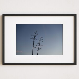 Trees Print, Dark Blue Sky, Coastal Home Decor,