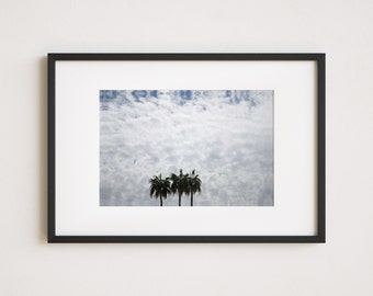 Fotoprint palmboom, muurkunst tropische kust (digitale download)