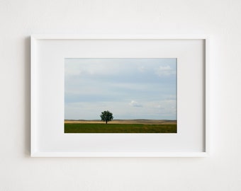 Montana Tree Landscape Photography Print (Digital Download)