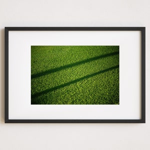 Tree Shadow Print, Modern Minimalist, Shadow Details, Shadow Printable, Abstract Green Grass Print