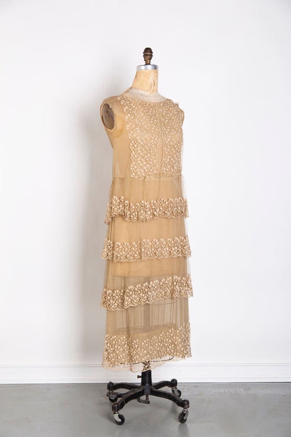 Sheer 1920s Antique Dress Gown