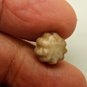 Puede incluir: Primer plano de un pequeño objeto de forma irregular, de color blanco y marrón, parecido a una piedra. El objeto tiene una superficie rugosa y texturizada.