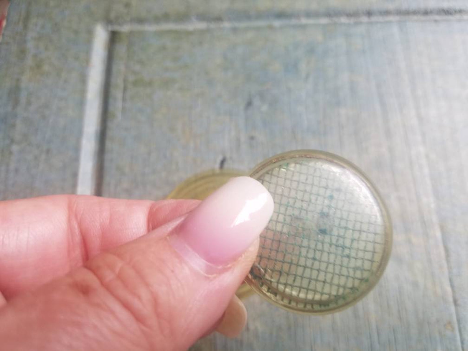Vintage Button, 2 Extra Large, Translucent Celluloid Design ...
