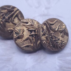 May include: Three gold-toned metal buttons with an embossed design of leaves and a dragonfly. The buttons have a slightly raised edge.