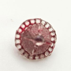 Puede incluir: Imagen detallada de un objeto pequeño y redondo. Presenta un interior marrón rojizo y un borde exterior blanco segmentado con detalles rojos. La estructura del objeto es compleja y en capas, con una apariencia texturizada. La forma general es circular.