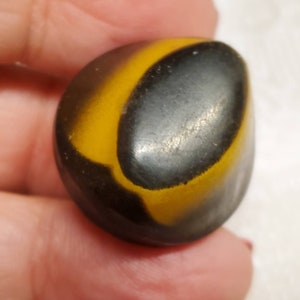 Vintage Buttons- Lot of 1  medium 7/8&quot; 22mm celluloid gold and black metal back design( jan 148 23)