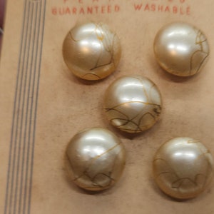 Botón vintage - 5 hermosos botones pequeños de 16 mm, de vidrio pintado, color champán perla artificial, detalles dorados, vástagos, tarjeta exquisita (feb 405 24)
