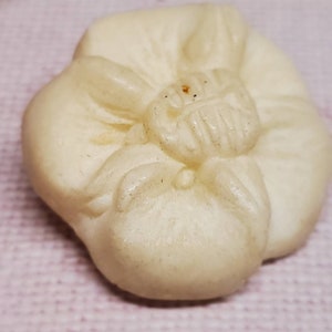 Può includere: Un bottone di ceramica bianca a forma di fiore con un design dettagliato. Il bottone ha cinque petali e un centro che ricorda un bocciolo di fiore.