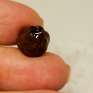 May include: A small, dark brown, rounded object with a glossy surface. The object is held between two fingers, and appears to have a textured, possibly organic, shape. The lighting creates highlights on the surface.