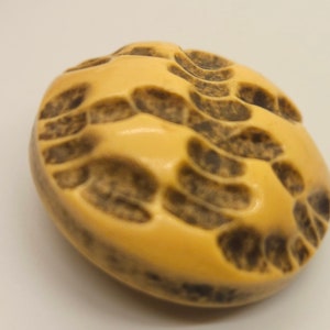 Vintage Button, 1 large size 1 inch 25.5mm, buffed celluloid 2 piece taupe and off white design (nov 47 23)