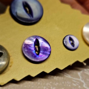 Vintage Buttons - 5 assorted dyed blue & purple small to medium mother of pearl across, 3/8&quot;9.5mm to 3/4&quot; 19mm (may 418 23)
