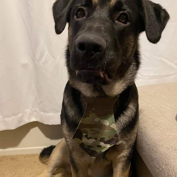 US ARMY MULTICAM Dog Necktie