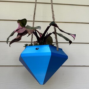 May include: A blue diamond-shaped hanging planter with a pink and green plant inside. The planter is made of a hard plastic material and has a rope hanging system.