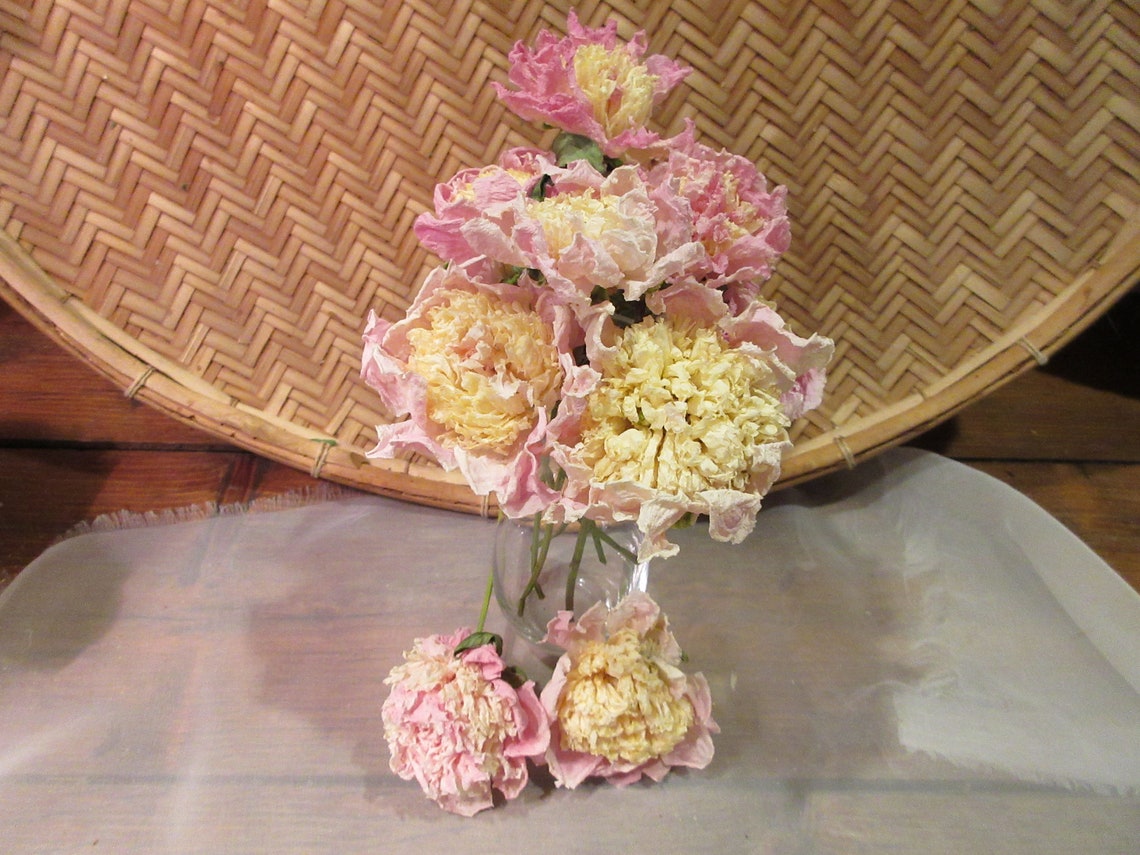 Dry Peony Flowers Whole Natural Organic Unusual Novelty Colors Etsy