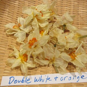 May include: Dried white and orange double narcissus flowers on a woven bamboo surface. The flowers are arranged in a cluster and have a delicate, papery texture. A handwritten note reads "Double white + orange".