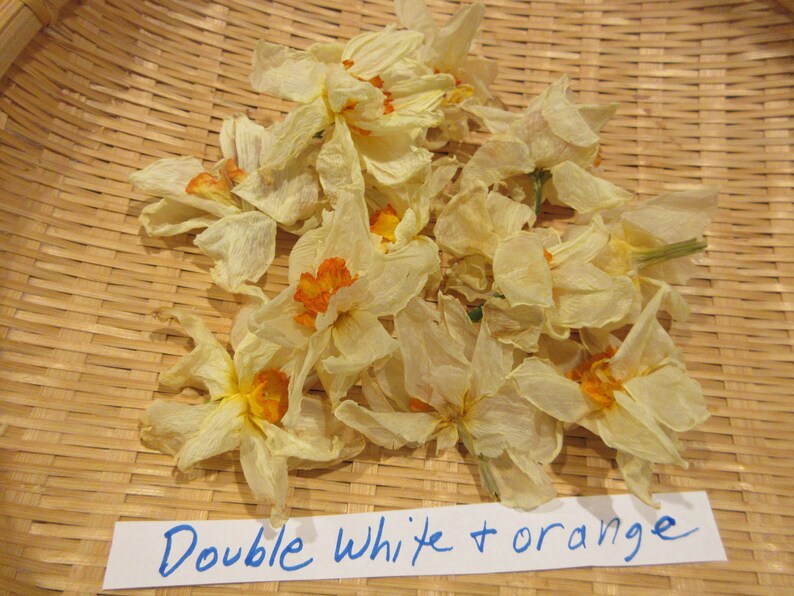 May include: Dried white and orange double narcissus flowers on a woven bamboo surface. The flowers are arranged in a cluster and have a delicate, papery texture. A handwritten note reads "Double white + orange".