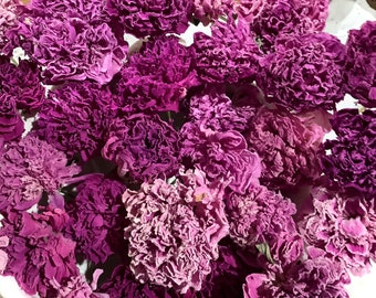 Lavender Peony Dry Flowers naturally dried organically grown unusual shades of pink that lean towards lavender tones rare homegrown