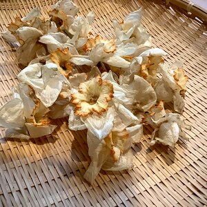 May include: A group of dried daffodils with white petals and yellow centers are arranged on a woven bamboo basket.