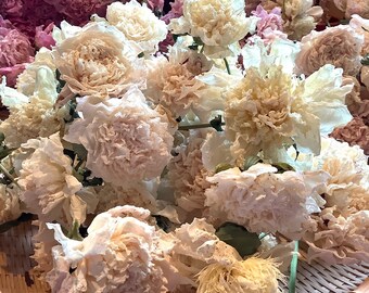 Wholesale Dry Peony Blossoms Dark and LIght Colors Large Quantities with Stems Natural Organic
