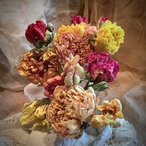 Dry Peony Bouquets Whole Flowers Premium Selections Natural Organic Special Rare Unusual Colors