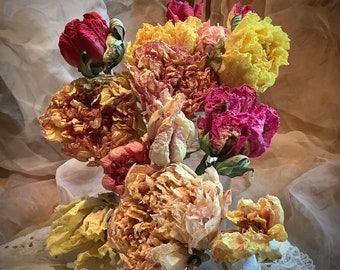 Dry Peony Bouquets Whole Flowers Premium Selections Natural Organic Special Rare Unusual Colors