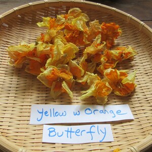 May include: Dried yellow and orange butterfly flowers in a woven basket with a handwritten sign that reads "Yellow w Orange Butterfly"