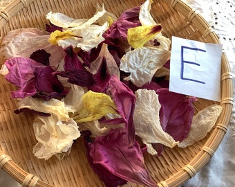 Dry Peony Petals Natural Organic Tea Bath Potpourri All Colors White Pink Lavender Purple Red MagentaTree Peony Paeonia suffructicosa