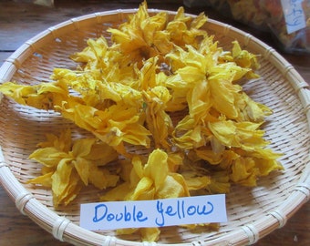 Dry Daffodil Flowers, Naturally Dried, Yellow, White, Peach, Orange, Double, Jonquils, Narcissus, Organically Grown