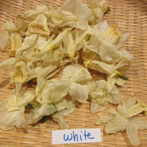 May include: A collection of dried white daffodil petals in a woven basket. The petals are arranged in a random pattern and the word "white" is written on a blue piece of paper.
