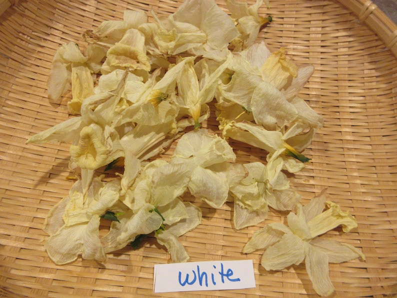 May include: A collection of dried white daffodil petals in a woven basket. The petals are arranged in a random pattern and the word "white" is written on a blue piece of paper.