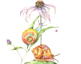 Snail Art Print, Botanical Art, Snail Painting, Coneflower Daisy Print, Watercolor Snail, Garden Art, Nature, Kitchen Decor