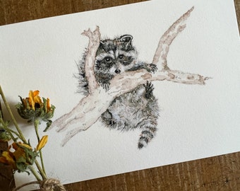 Raccoon Art Print, Watercolor Raccoon, Woodland Animal Art Print, Wildlife Illustration, Art by Lady Majik Horse