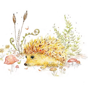 Hedgehog Art Print, Cute Animal Art, Hedgehog Mushrooms Ferns Painting, Hedgehog Art, Wall Art