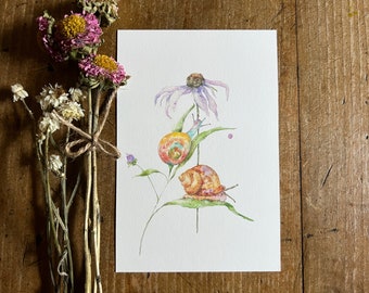 Snail Art Print, Botanical Art, Snail Painting, Snails and Daisy Print, Watercolor Snail, Garden Snails, Nature Art, Farmhouse Art