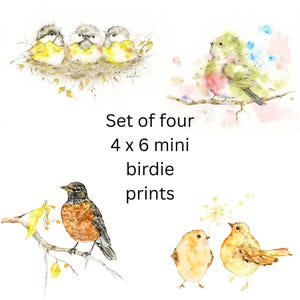 Bird Art Print, Mini Art Prints, Set of 4 Prints, Chickadees Art, Baby Bird Print, Robin Bird Art Print, Bird Art Print, Watercolor Bird