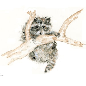 Raccoon Art, Raccoon Print, Watercolor Raccoon, Woodland Animal Art Print, Wildlife Art, Nursery Art