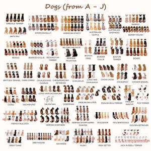 May include: A comprehensive reference chart titled Dogs (from A - J) displaying numerous illustrated dog breeds viewed from behind. Each breed is categorized by name and features numbered, color-coded variations of the dogs in rows.