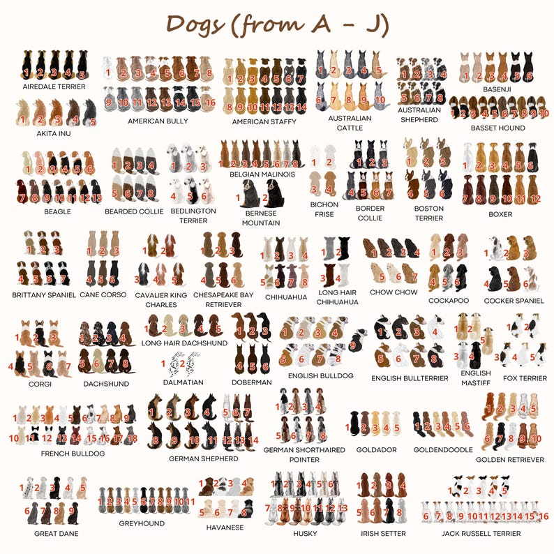 May include: A comprehensive reference chart titled Dogs (from A - J) displaying numerous illustrated dog breeds viewed from behind. Each breed is categorized by name and features numbered, color-coded variations of the dogs in rows.